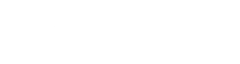 Page Transition Logo